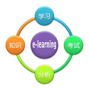 e-learning_lit